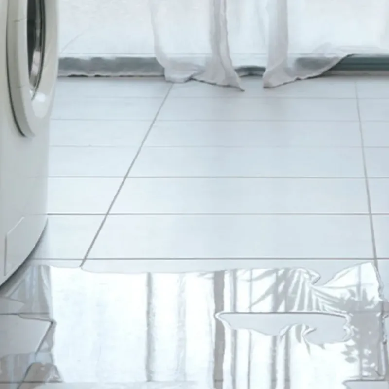 Appliance Leak Cleanup in Edwardsville, KS