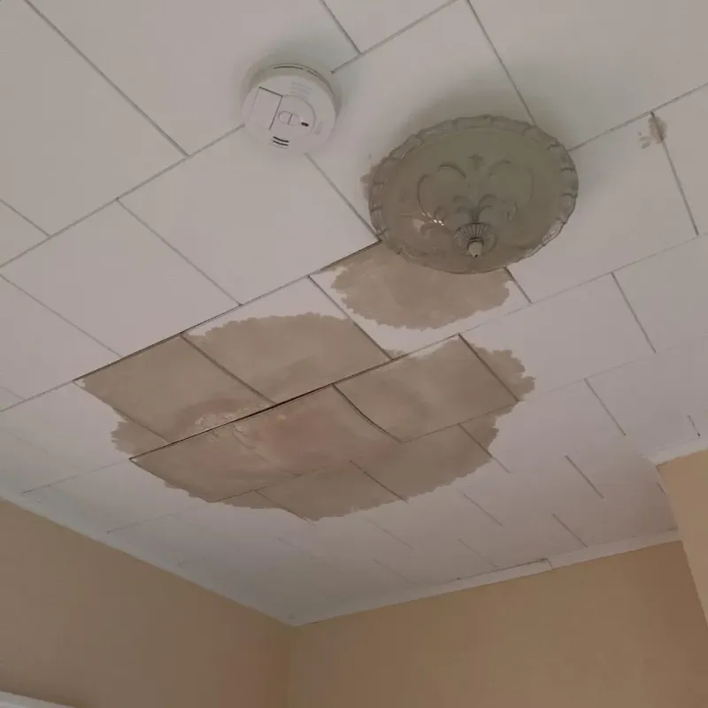Ceiling Water Damage Repair in Edwardsville, KS