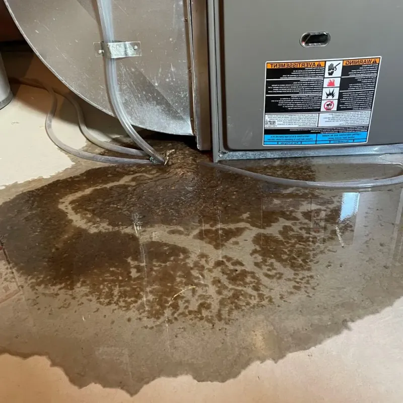 Pipe Burst and Leak Restoration in Edwardsville, KS
