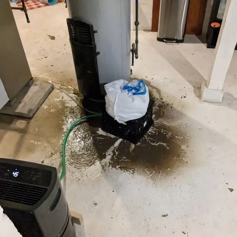 Sewage Backup Cleanup Service in Edwardsville, KS
